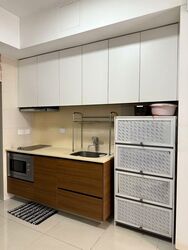The Miltonia Residences (D27), Condominium #449971361